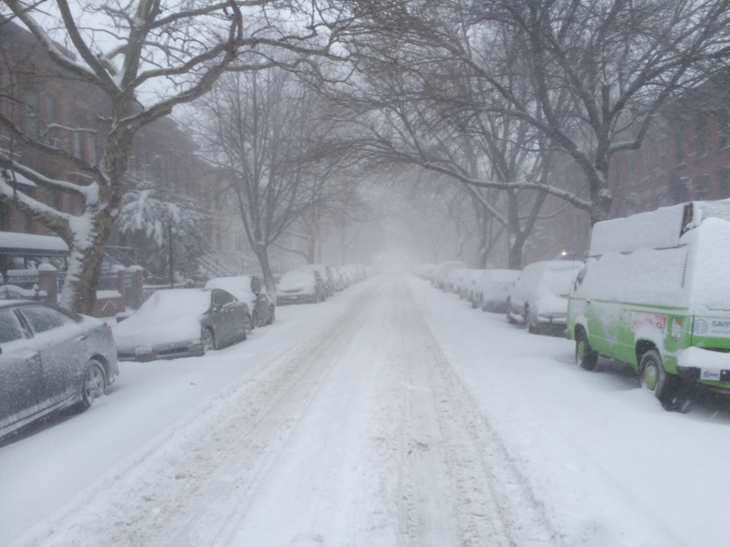 Illustration for article titled A Blizzard Grows in Brooklyn